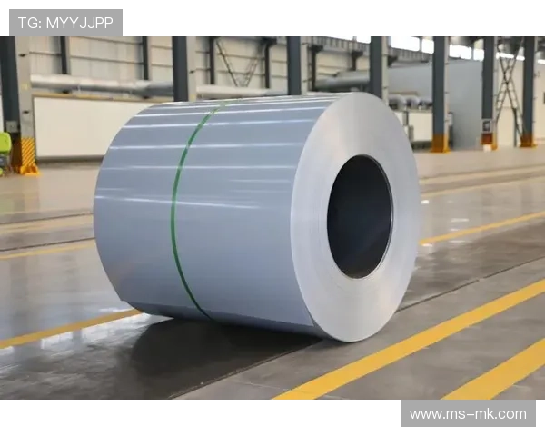 纳米陶瓷防腐镀层提升户外灯具耐久性,适应复杂气候环境