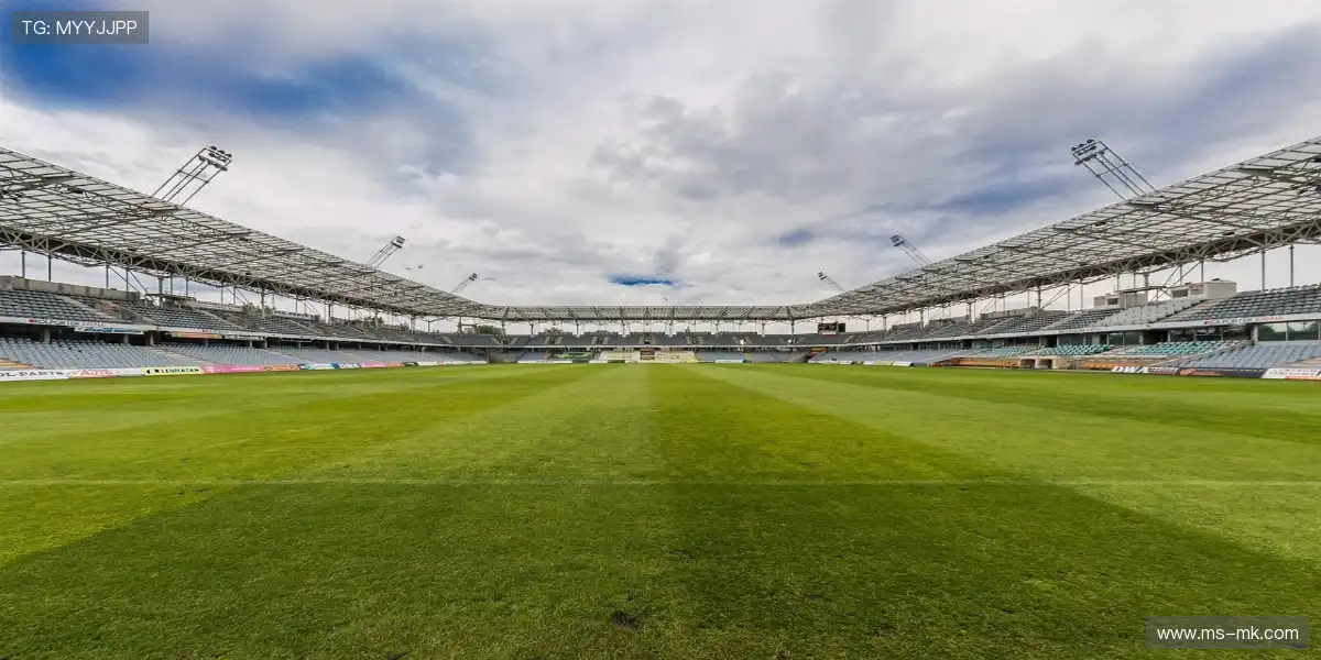 📺主摄像机视角实时切换，毫秒级无感延迟！🎥